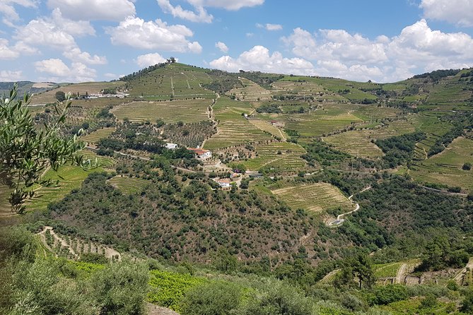 Douro Valley for Wine Lovers with Visit to 4 Wineries and Lunch - First winery: starting with port