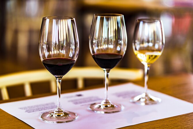 Douro Valley: Historical Sites, Wine Experience, Lunch & Cruise - Walking through a Douro vineyard