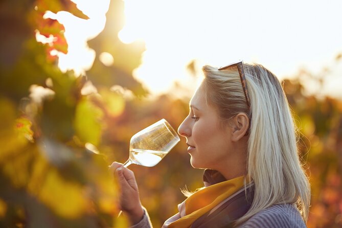 Douro Valley: Historical Sites, Wine Experience, Lunch & Cruise - The guides can make or break the road time