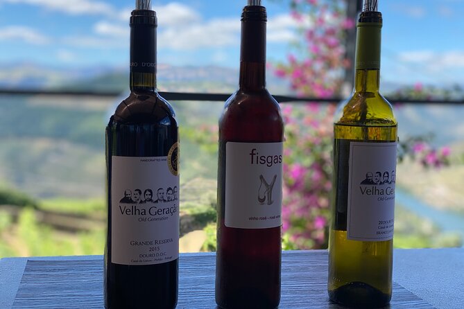 Douro Valley in a Tesla - Quinta do Ventozelo and a three-wine lunch