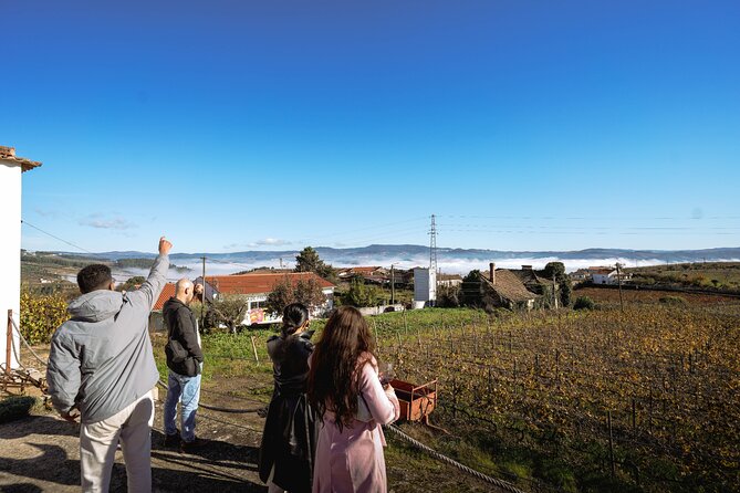 DOURO VALLEY: Lunch in a winery, tastings & 1-h private boat tour - The drive from Pinhão to Peso da Régua