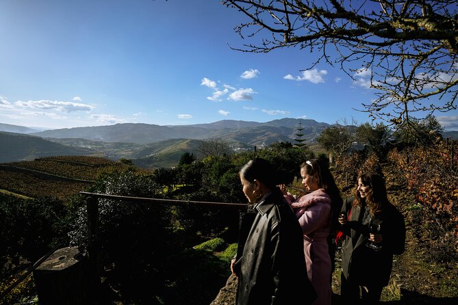 DOURO VALLEY: Lunch in a winery, tastings & 1-h private boat tour - Lunch at a winery, with Port in the dessert