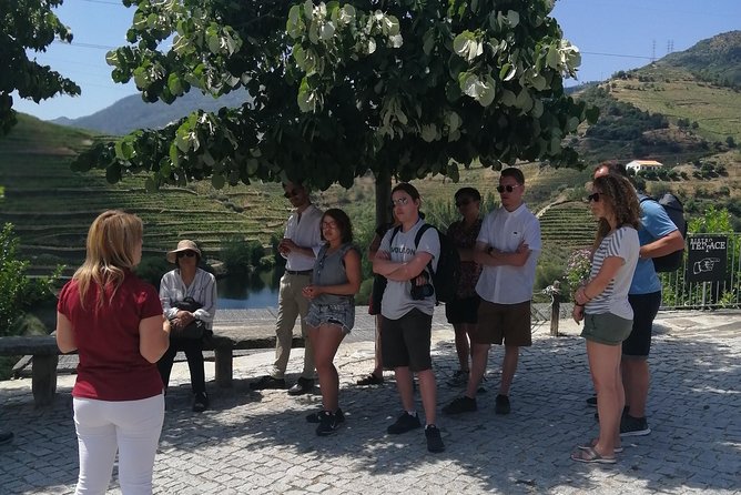 DOURO VALLEY: Lunch in a winery, tastings & 1-h private boat tour - Timing, weather, and booking details