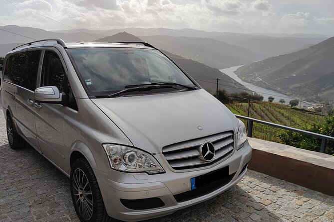 Douro Valley Premium Tours - Private Driver & Guide - One hour on a traditional Rabelo boat