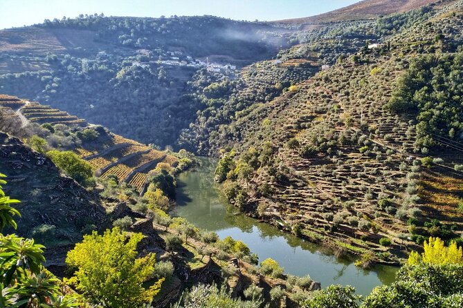 Douro Valley Prime Tour: Wine Tastings, Boat & Lunch from Porto - Quinta do Panascal and the Port-making lesson