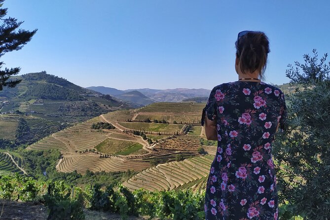 Douro Valley Prime Tour: Wine Tastings, Boat & Lunch from Porto - The small-boat cruise on the Douro