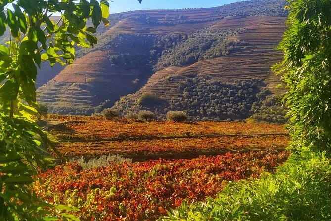 Douro Valley Prime Tour: Wine Tastings, Boat & Lunch from Porto - Crossing the Douro at Peso da Régua