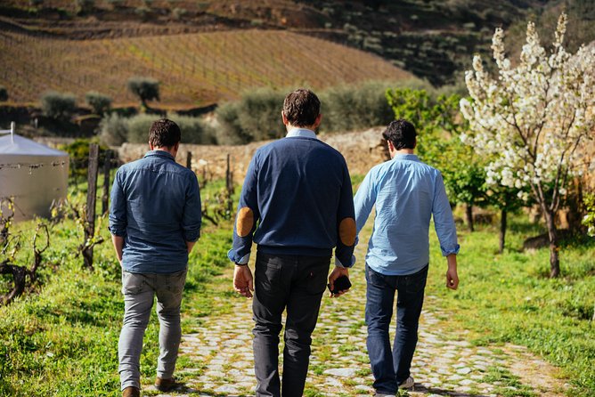 Douro Valley Private Day Trip including Boat Ride & Wine Tasting - Pinhão and the Douro River by boat
