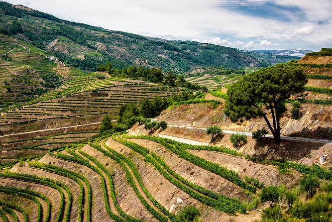 Douro Valley Private Day Trip including Boat Ride & Wine Tasting - Booking tips for a smoother day