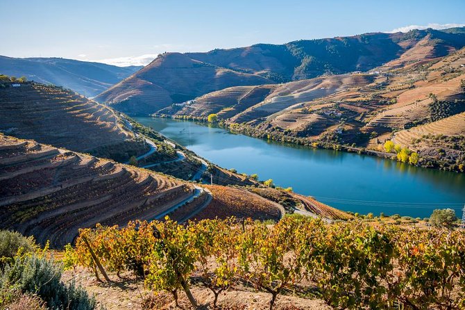 Douro Valley: private tour with lunch and wine estate all inclusive - São Leonardo da Galafura delivers the great Douro view