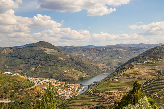 Douro Valley: private tour with lunch and wine estate all inclusive - The vineyard estate shows how Douro wine is made