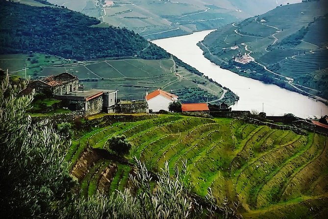 Douro Valley Private Wine and Food Tour From Porto - Why a private day in the Douro makes sense