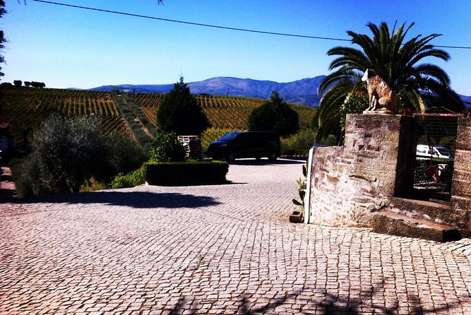 Douro Valley Private Wine and Food Tour From Porto - Pinhão lunch: the day’s main pause