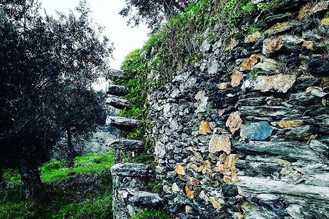 Douro Valley Private Wine and Food Tour From Porto - D’Origem and the second tasting
