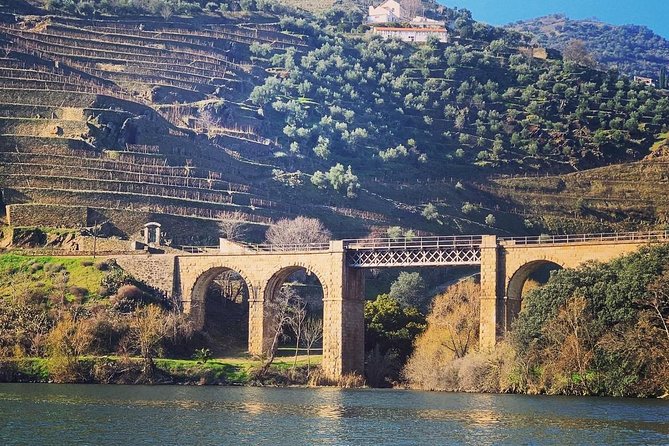 Douro Valley Private Wine and Food Tour From Porto - The guides are a major part of the experience
