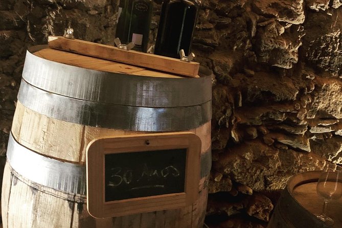 Douro Valley Private Wine and Food Tour From Porto - Boat cruises and extra stops need confirmation