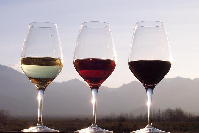 Douro Valley Private Wine and Food Tour From Porto - Quinta do Seixo and Sandeman: your first taste of the Douro