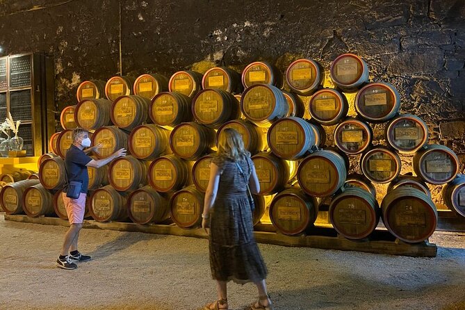 Douro Valley private wine tour | tastings and lunch included - Comfort, group size, and practical details