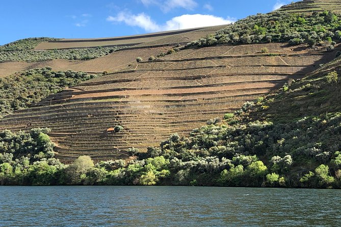 Douro Valley private wine tour | tastings and lunch included - Three wineries, three different sides of Douro wine