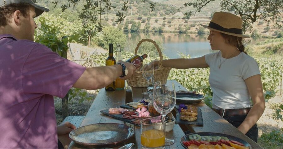 Douro Valley: Quinta do Tedo Wine Experience with Picnic - Key points to know before you book