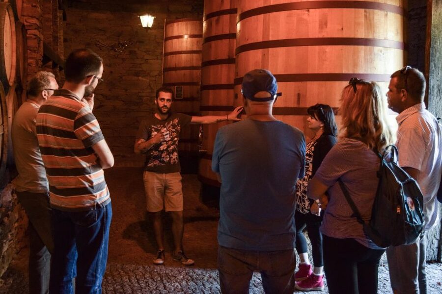 Douro Valley: Quinta do Tedo Wine Experience with Picnic - Arriving at Quinta do Tedo near Folgosa