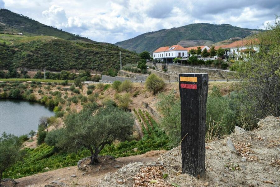 Douro Valley: Quinta do Tedo Wine Experience with Picnic - Tasting Douro DOC wines after the tour