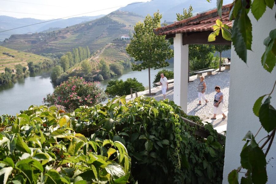 Douro Valley: Quinta do Tedo Wine Experience with Picnic - Is the $65 price good value?
