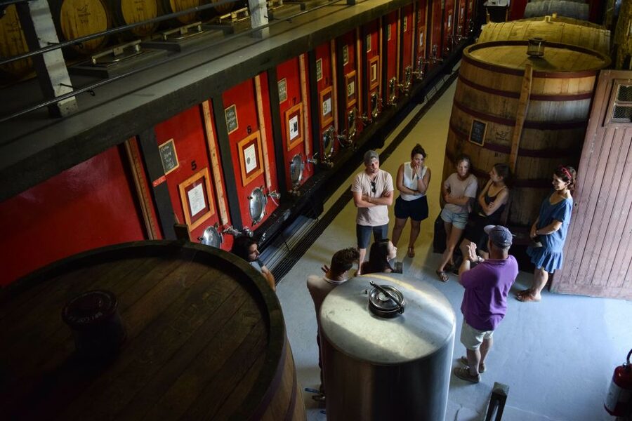 Douro Valley: Quinta do Tedo Wine Experience with Picnic - Who will enjoy this experience most?