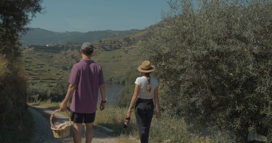 Douro Valley: Quinta do Tedo Wine Experience with Picnic - Timing, clothing, and weather tips