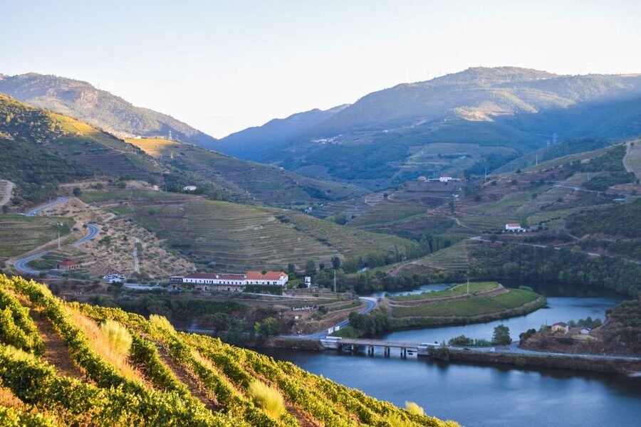 Douro Valley: Quinta do Tedo Wine Experience with Picnic - Touring the vinification center and wine cellars