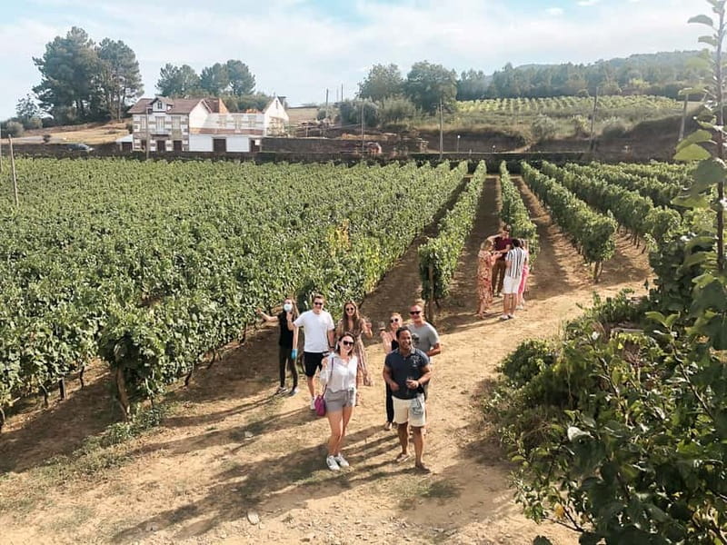 Douro Valley: Real Small-Group, Wine Tasting, Lunch & Boat - Why this Douro Valley day trip works