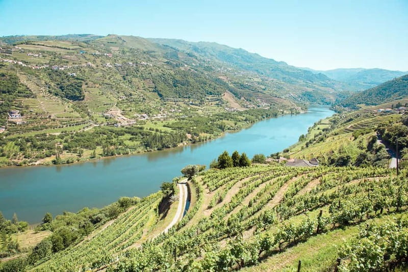 Douro Valley: Real Small-Group, Wine Tasting, Lunch & Boat - The first estate: Port, cheese, and Douro wine tradition