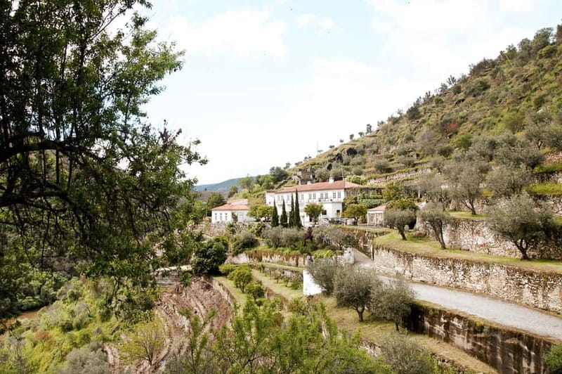 Douro Valley: Real Small-Group, Wine Tasting, Lunch & Boat - The scenic return to Porto