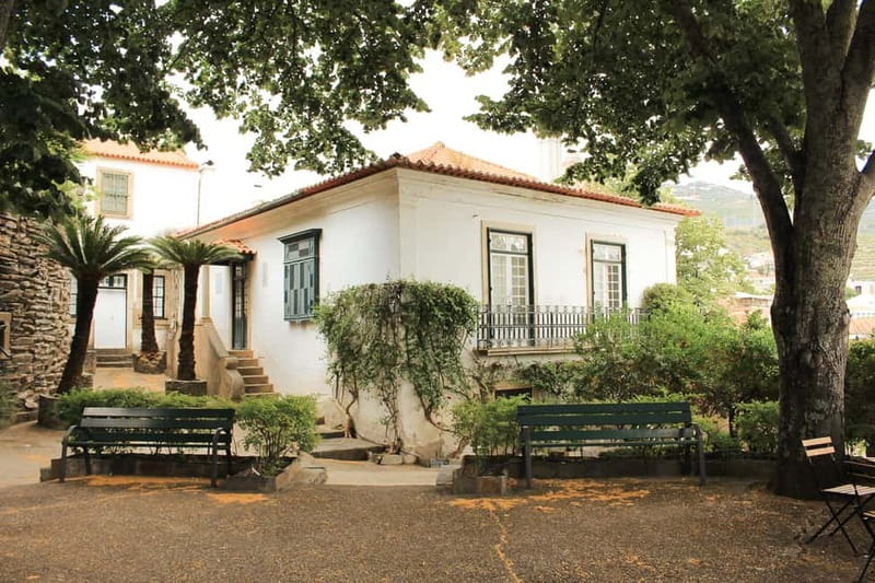 Douro Valley: Real Small-Group, Wine Tasting, Lunch & Boat - Group size, languages, and who will enjoy it
