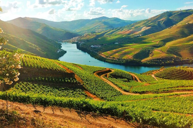 Douro Valley - Relaxed Departure from Porto - Key points to know before booking
