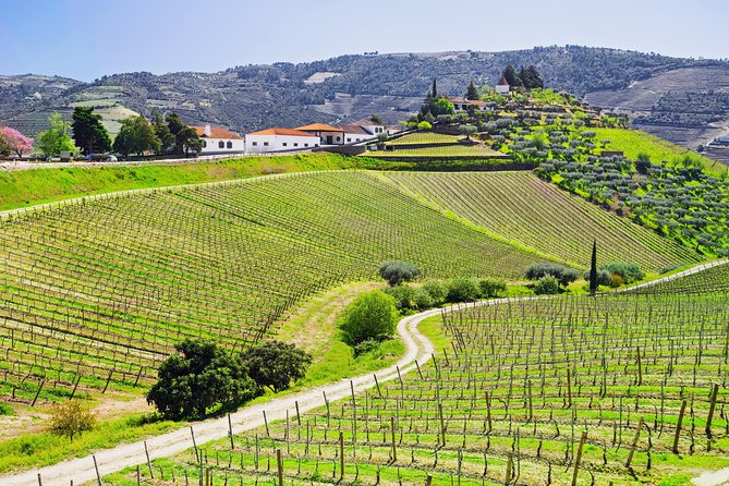 Douro Valley - Relaxed Departure from Porto - Why this Douro Valley day works from Porto