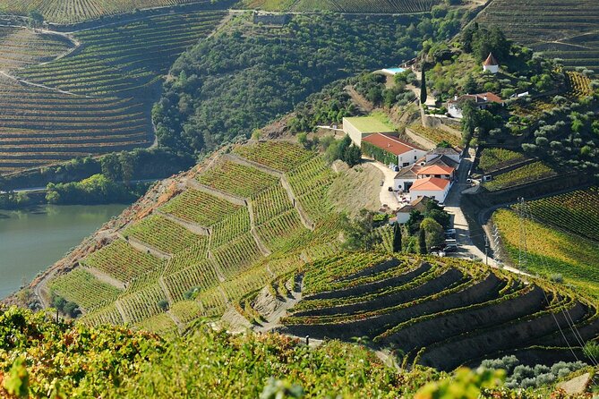 Douro Valley - Relaxed Departure from Porto - The one-hour cruise from Pinhão