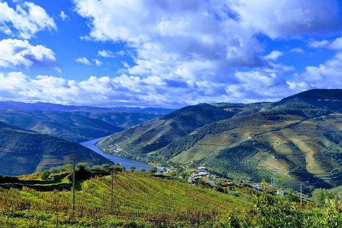 Douro Valley Small-Group Tour: 2 Wineries, Lunch, Optional Cruise - Second winery: Port, olive oil, and honey