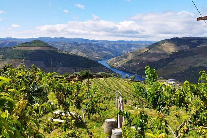 Douro Valley Small-Group Tour: 2 Wineries, Lunch, Optional Cruise - Timing, comfort, and practical details