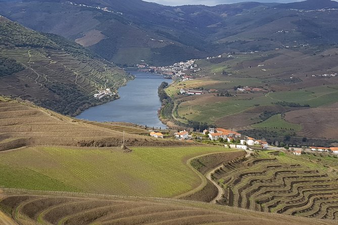 Douro Valley Tour: 2 Vineyard Visits, River Cruise, Winery Lunch - Why the Douro Valley Works as a Day Trip from Porto