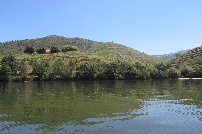 Douro Valley Tour: 2 Vineyard Visits, River Cruise, Winery Lunch - The Ride Through Lamego and Along National Road 222