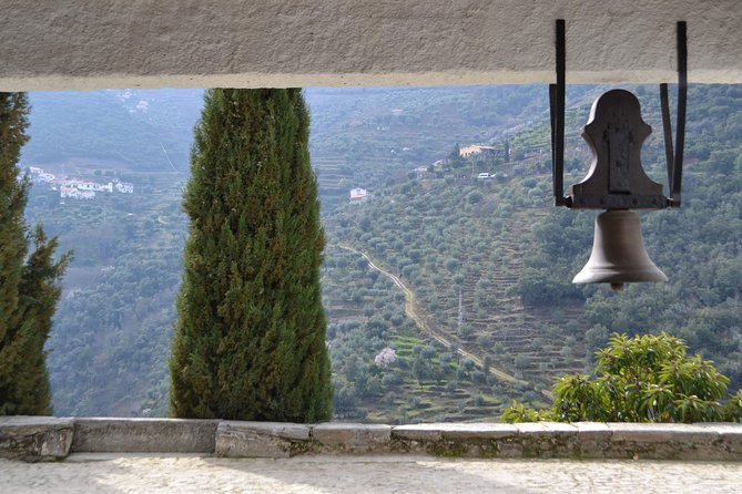 Douro Valley Tour: 2 Vineyard Visits, River Cruise, Winery Lunch - Who Should Book This Douro Valley Tour?