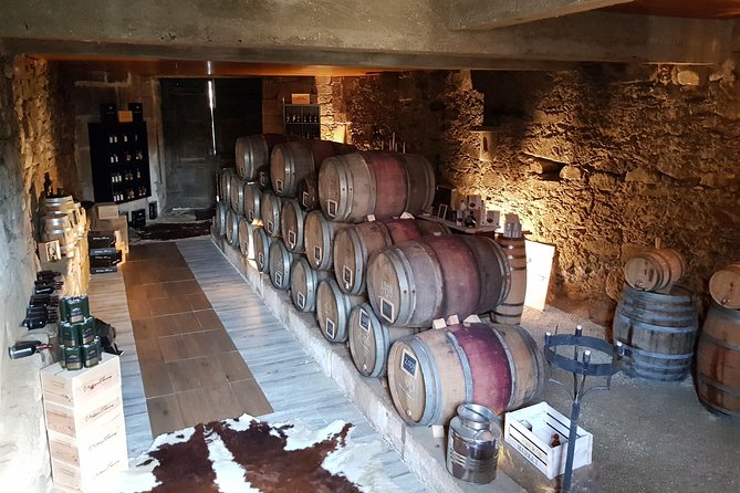 Douro Valley Tour: 2 Vineyard Visits, River Cruise, Winery Lunch - First Winery: Local Wine and Terraced Views Near Lamego