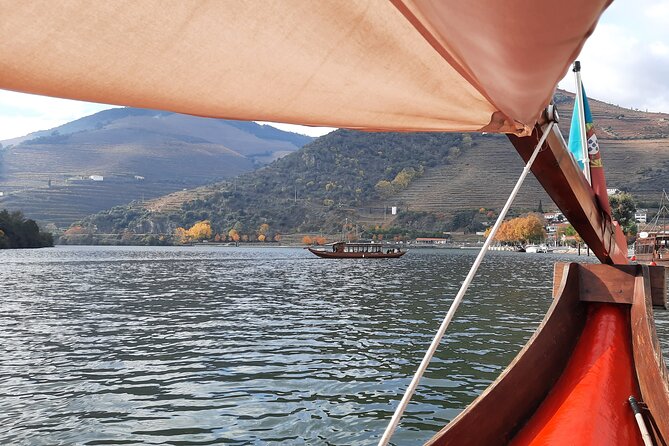 Douro Valley Tour - 3 Wine tastings, Lunch & river Cruise - Scenic road stops through the Douro