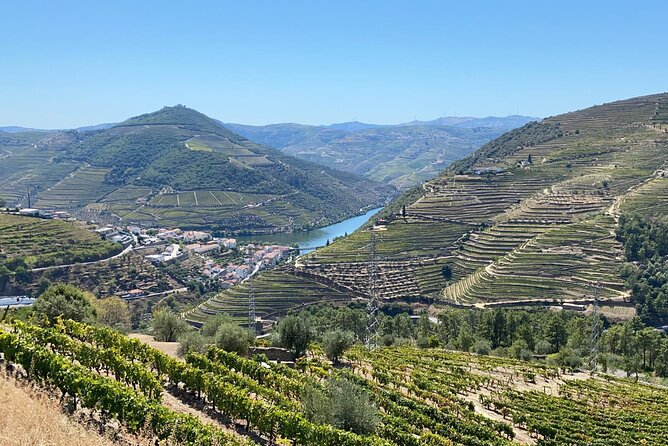 Douro Valley Tour - 3 Wine tastings, Lunch & river Cruise - What the $149.95 price really covers