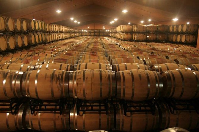 Douro Valley Tour: Wine Tasting, Cruise and Lunch from Porto - Why the Douro Valley deserves a full day from Porto