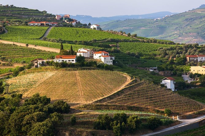 Douro Valley Tour: Wine Tasting, Cruise and Lunch from Porto - The first port tasting in the valley