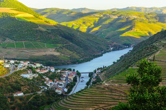 Douro Valley Tour: Wine Tasting, Cruise and Lunch from Porto - Portuguese lunch beside the river