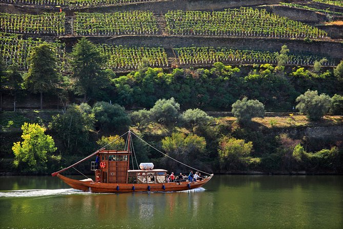 Douro Valley Tour: Wine Tasting, Cruise and Lunch from Porto - Viewpoints and the ride back to Porto