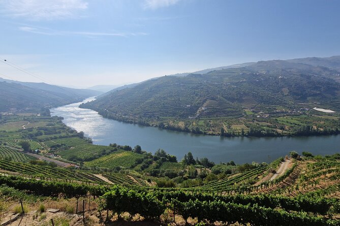 Douro Valley Tour: Wine Tasting River Cruise and Lunch from Porto - Meeting the vehicle near Porto’s Fernandine Walls